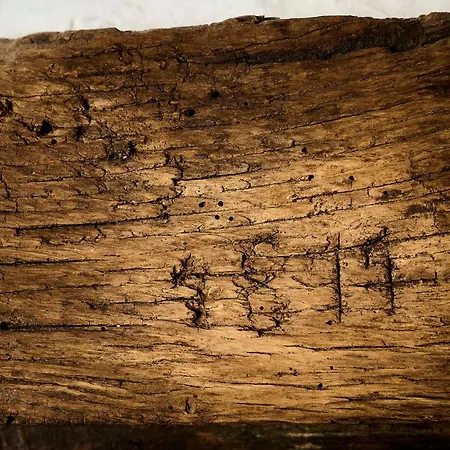 Traditional Slovenian Kozjanska Domacija 1817 Unesco Mab Apartment *