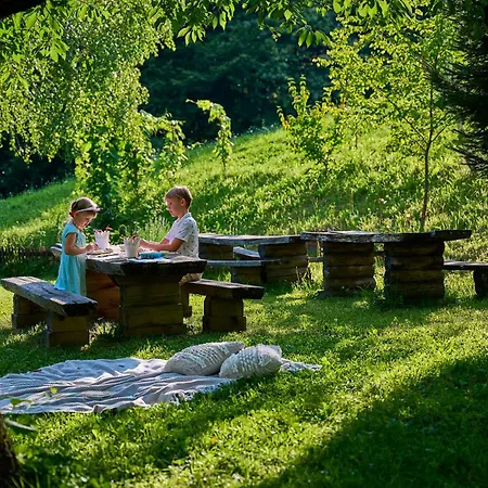 Apartment Traditional Slovenian Kozjanska Domacija 1817 Unesco Mab