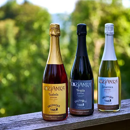 Traditional Slovenian Kozjanska Domacija 1817 Unesco Mab