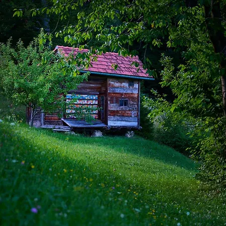 Traditional Slovenian Kozjanska Domacija 1817 Unesco Mab Apartmán
